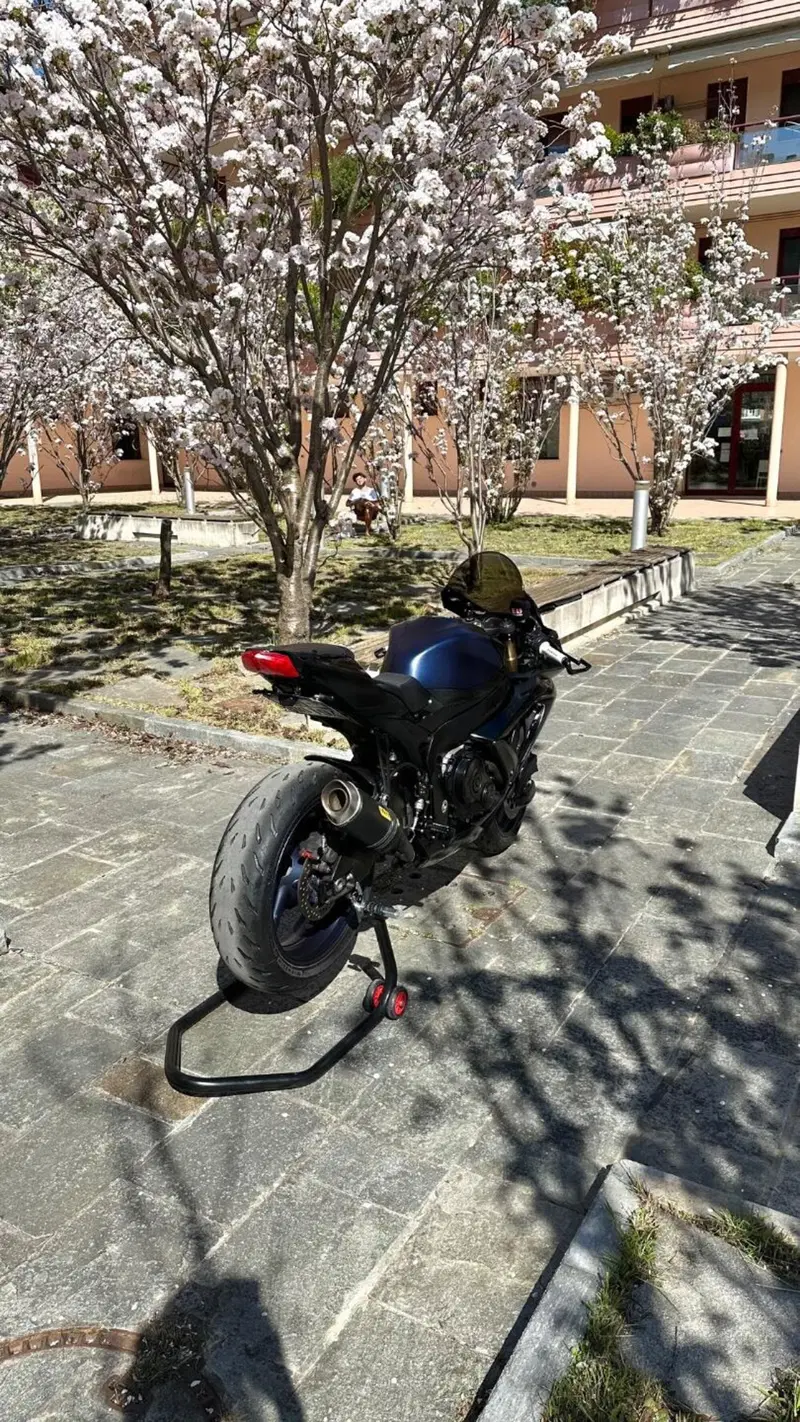 Suzuki GSX R 600 (2008 - 10) (3)