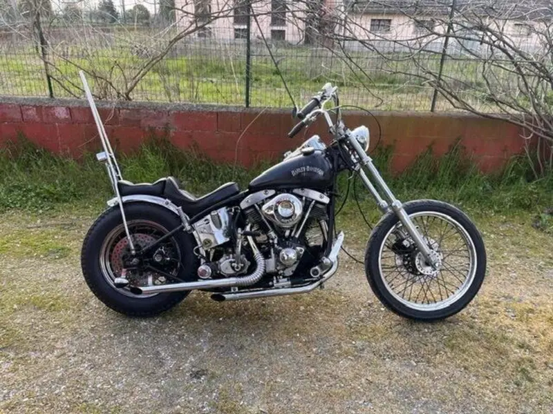 Harley-Davidson chopper Shovelhead (2)