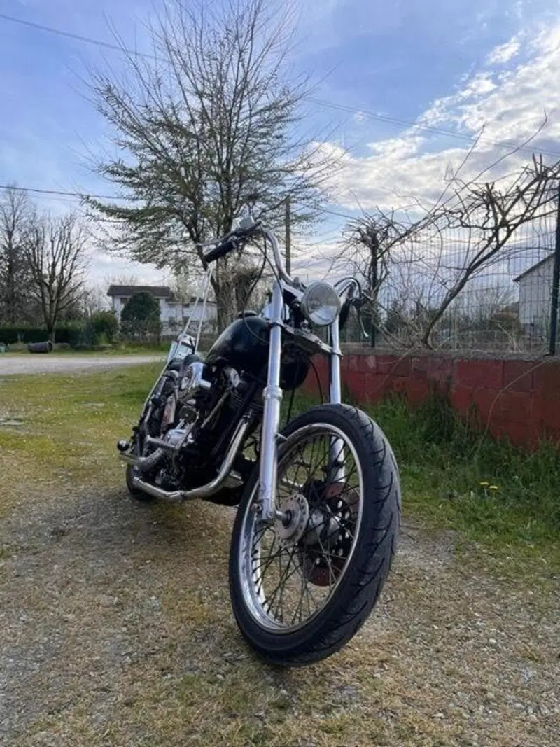 Harley-Davidson chopper Shovelhead (3)