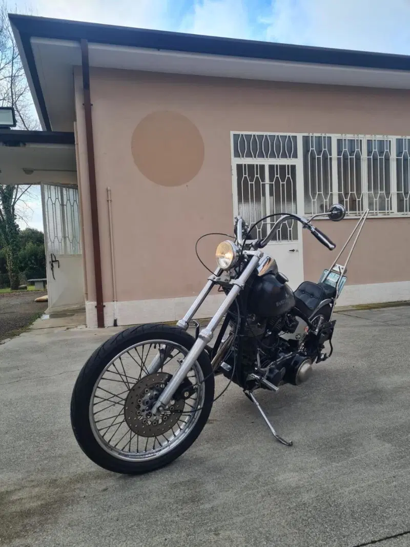 Harley-Davidson chopper Shovelhead (5)