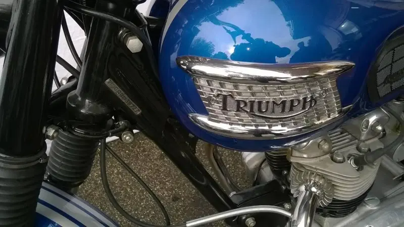 Triumph Bonneville T100 (3)