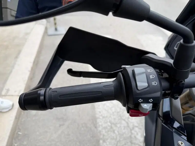Bmw G 310 GS (2021 - 25) (9)