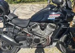 Harley-Davidson Pan America 1250 Special (2020 - 25) usata