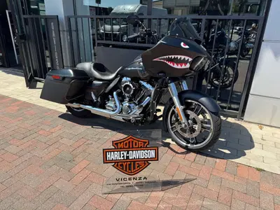 Harley-Davidson 1690 Road Glide Special (2013 - 16) usata