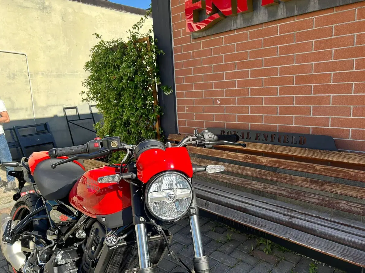 Royal Enfield Guerrilla 450 (2024 - 26) (12)