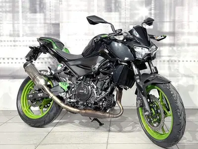 Kawasaki Z 400 (2019 - 20) usata