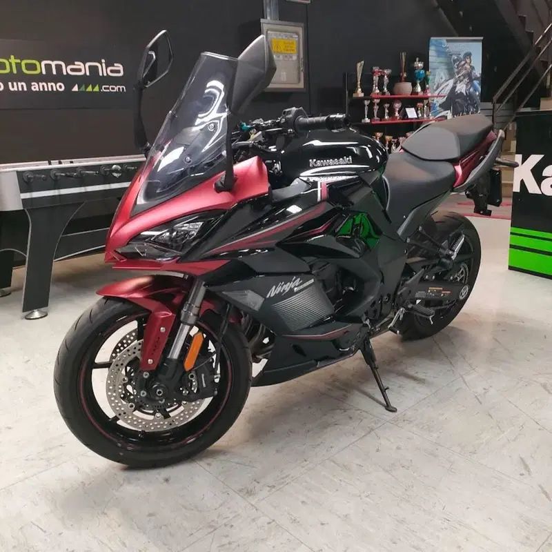 Kawasaki Ninja 1000 SX (2021 - 24) (2)