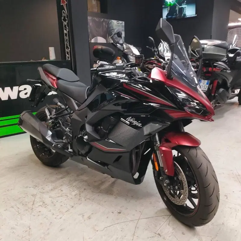 Kawasaki Ninja 1000 SX (2021 - 24) (5)