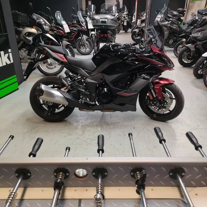 Kawasaki Ninja 1000 SX (2021 - 24) (6)