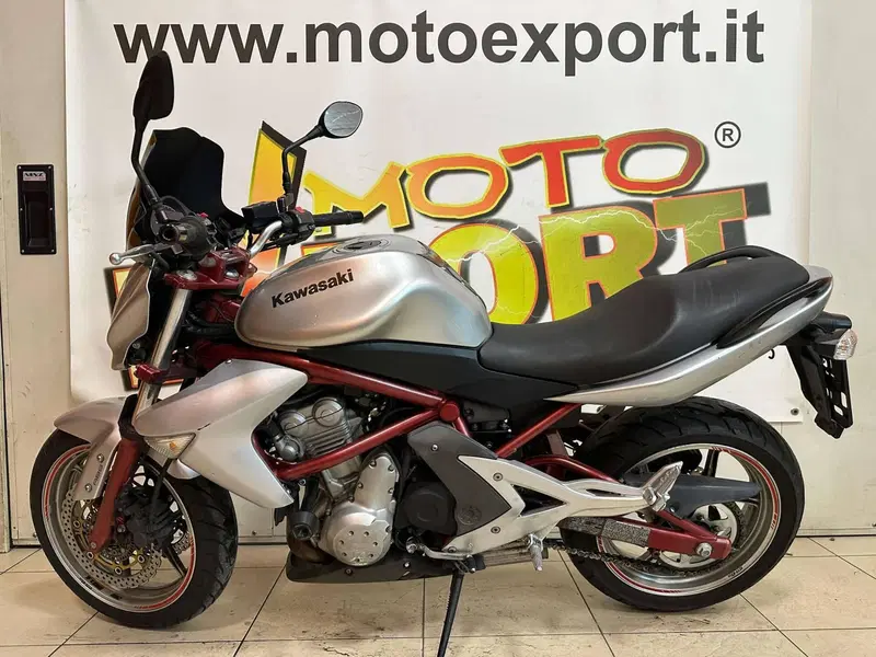 Kawasaki ER-6N (2006 - 09) (3)
