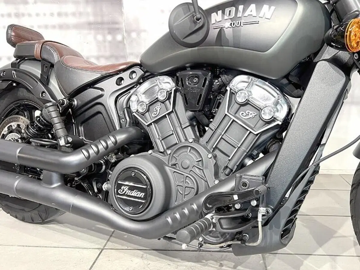 Indian Scout 1133 (2021 - 25) (5)
