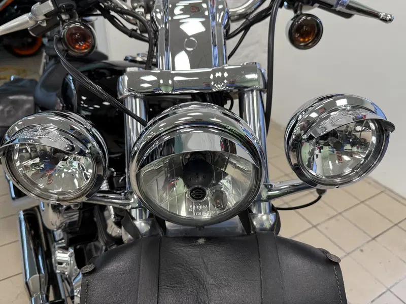 Harley-Davidson 1200 Custom (2007 - 13) - XL 1200C (5)