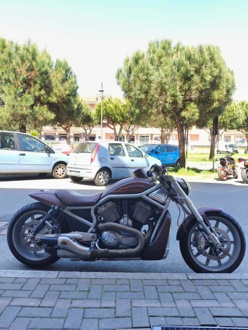 Harley-Davidson 1130 Street Rod (2006 - 07) - VRSCR (2)