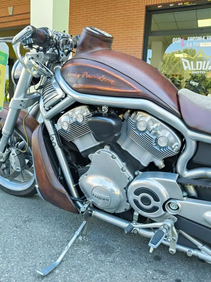 Harley-Davidson 1130 Street Rod (2006 - 07) - VRSCR (4)