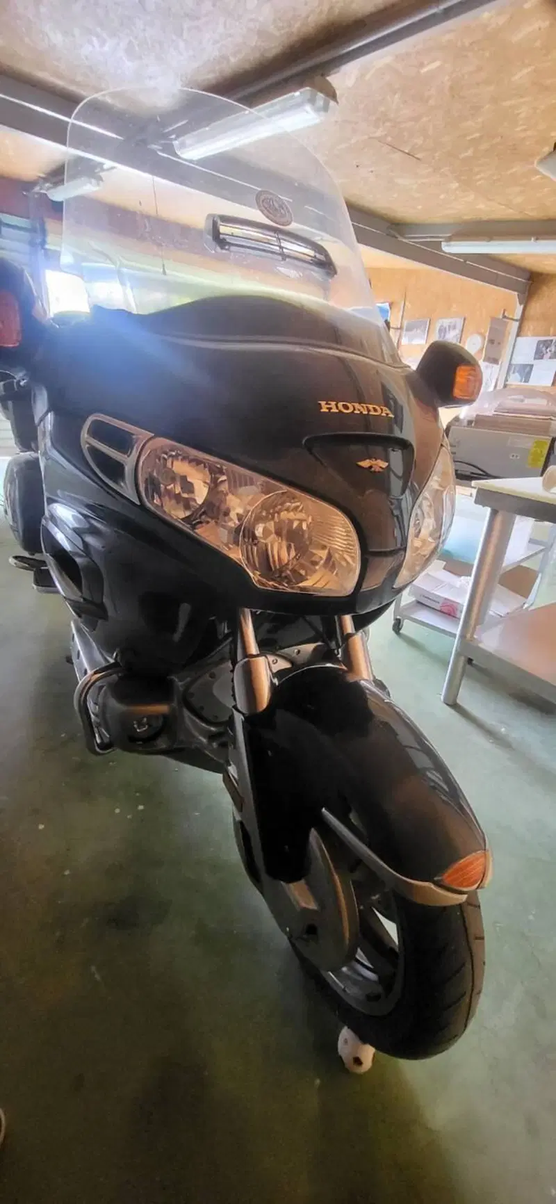 Honda GL 1800 Gold Wing (2000 - 05) (9)
