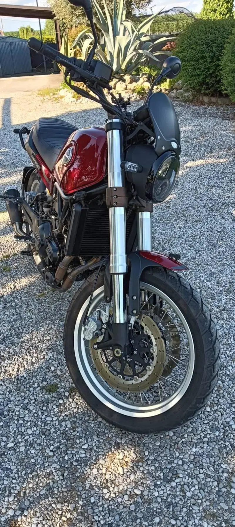 Benelli Leoncino 500 (2021 - 25)