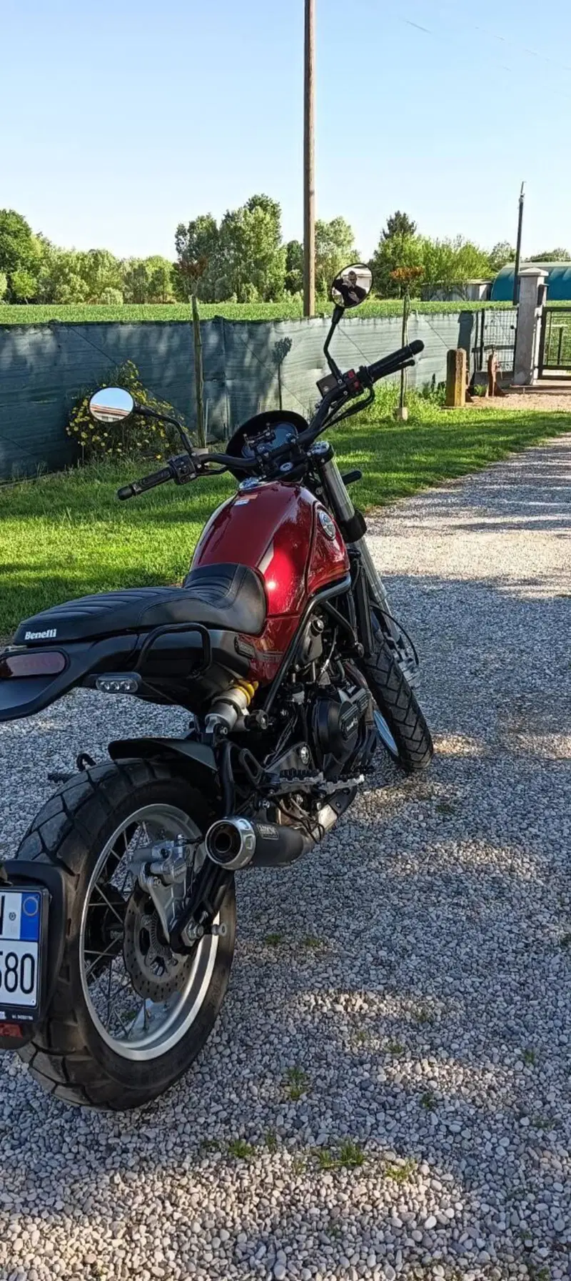 Benelli Leoncino 500 (2021 - 25) (3)