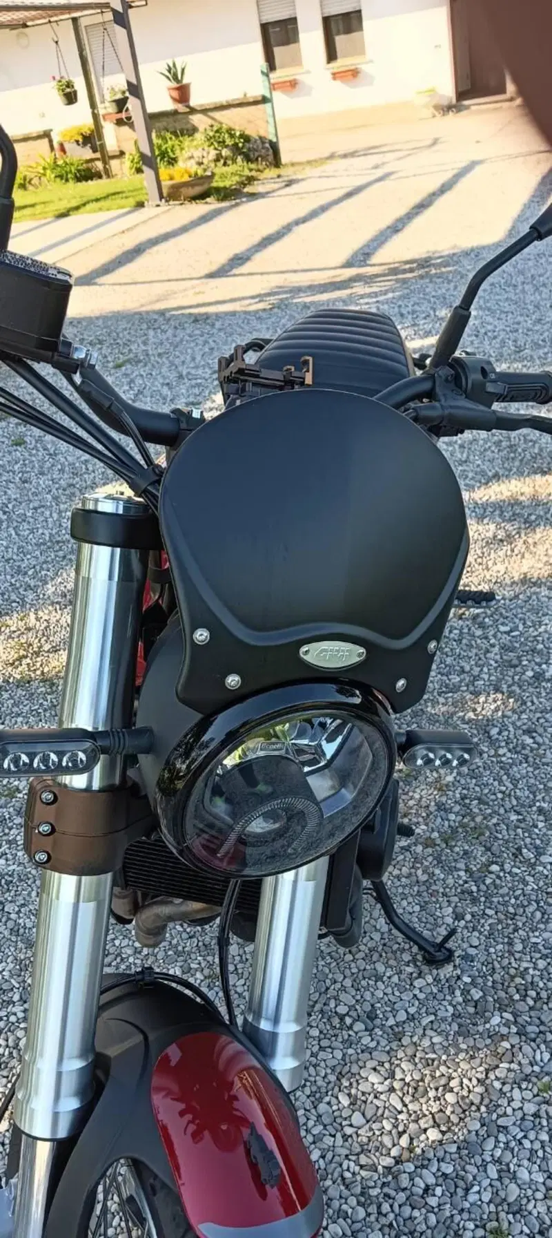 Benelli Leoncino 500 (2021 - 25) (6)
