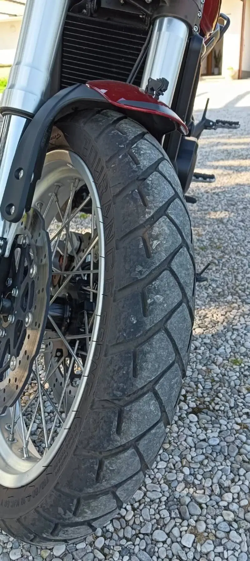 Benelli Leoncino 500 (2021 - 25) (7)