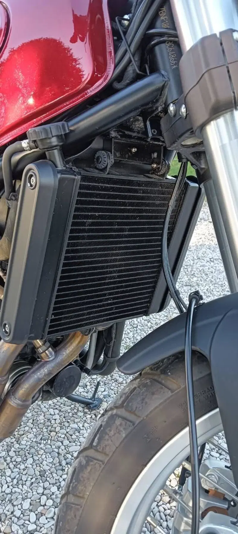 Benelli Leoncino 500 (2021 - 25) (8)