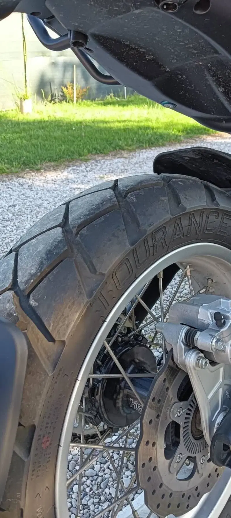 Benelli Leoncino 500 (2021 - 25) (9)