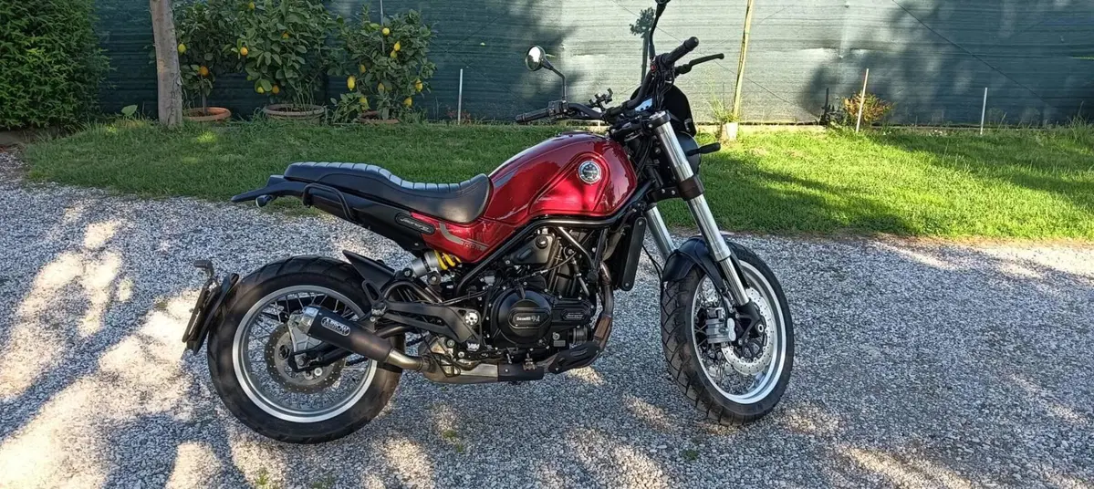 Benelli Leoncino 500 (2021 - 25) (10)