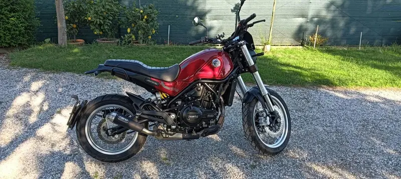 Benelli Leoncino 500 (2021 - 25) (10)