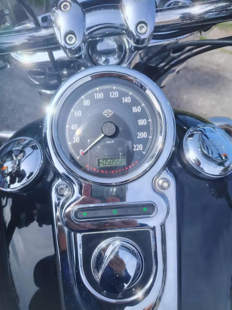 Harley-Davidson 1690 Switchback (2011 - 16) (4)