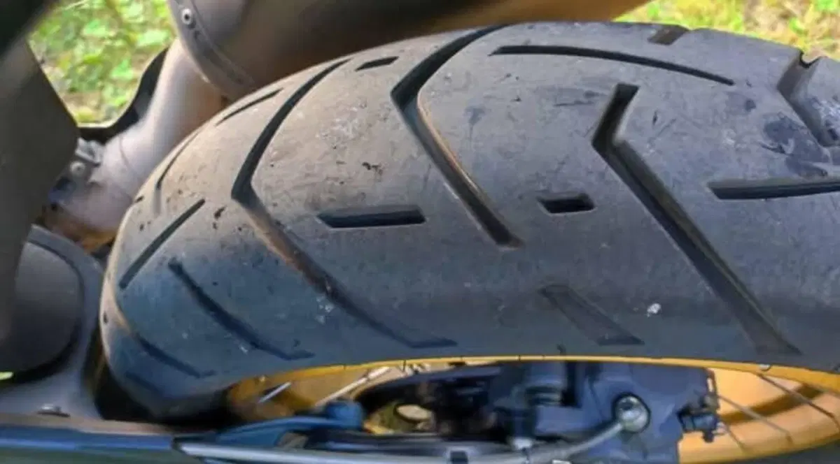 Bmw R 1250 GS (2021 - 24) (8)