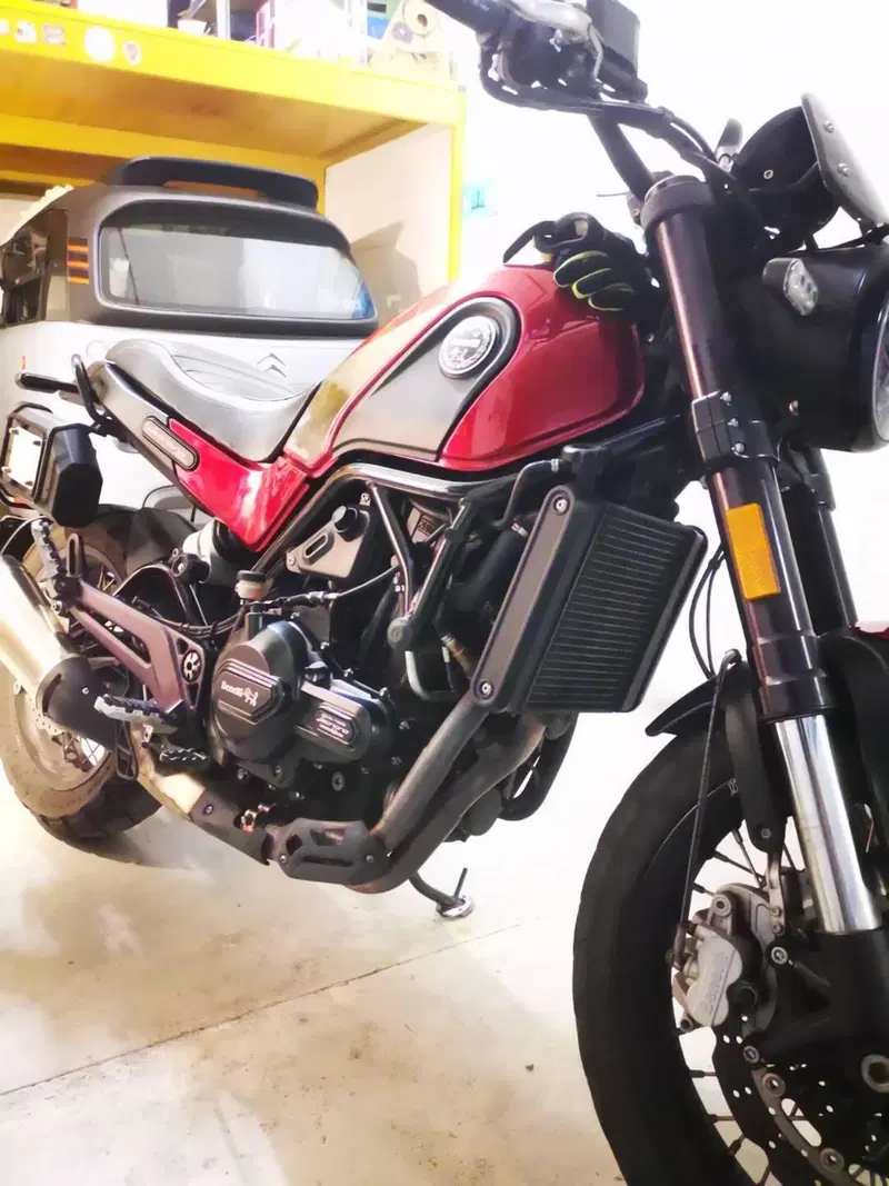 Benelli Leoncino 500 Trail ABS (2017 - 20) (5)