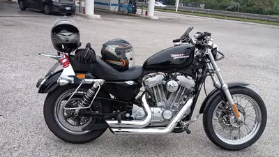 Harley-Davidson 883 Custom (2006 - 07) - XL 883C usata
