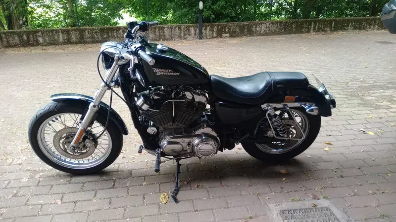Harley-Davidson 883 Custom (2006 - 07) - XL 883C (3)