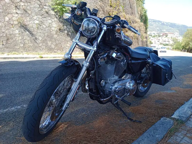 Harley-Davidson 883 Custom (2006 - 07) - XL 883C (6)