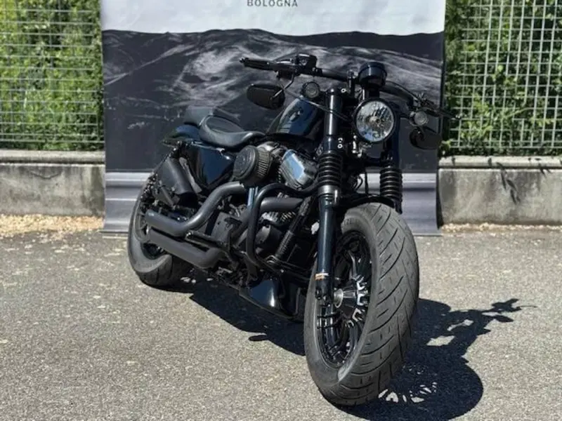 Harley-Davidson XL 1200 X Forty-Eight (2018) (6)