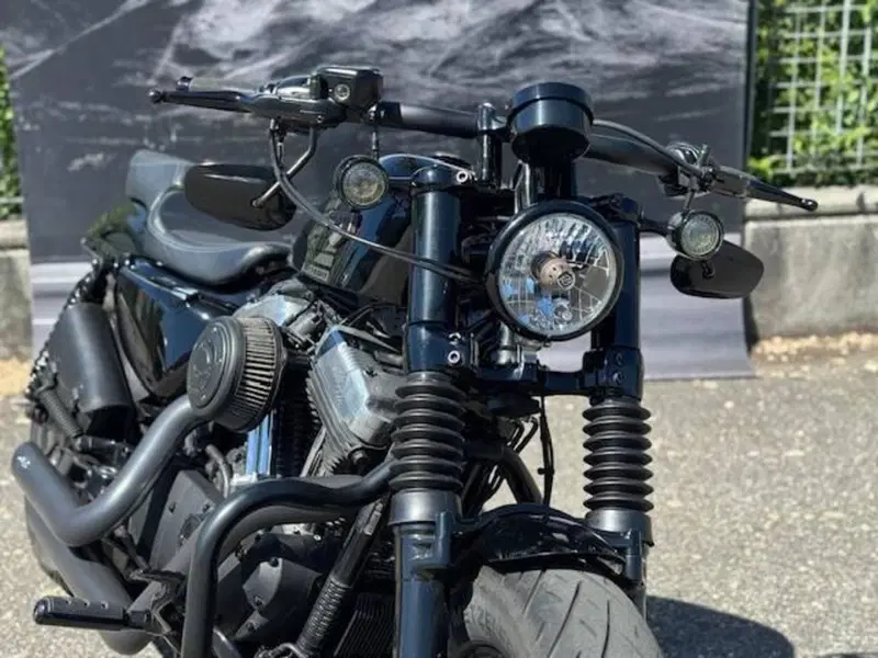 Harley-Davidson XL 1200 X Forty-Eight (2018) (7)