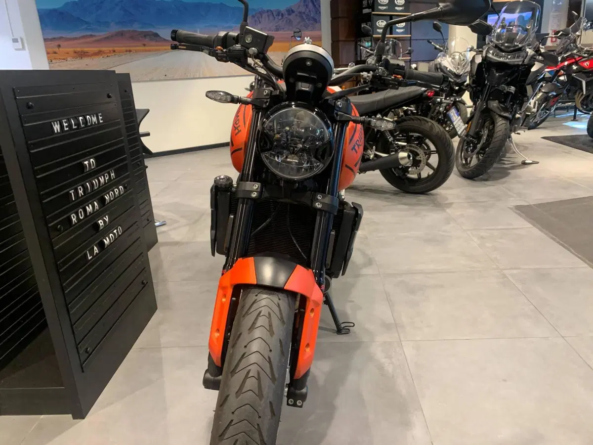 Triumph Trident 660 (2021 - 24) (3)