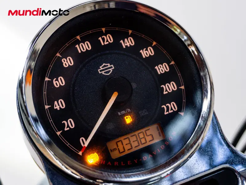 Harley-Davidson 1200 Custom ABS (2014 - 16) - XL 1200C (12)