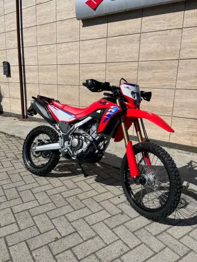 Honda CRF 300L (2025 - 26) usata