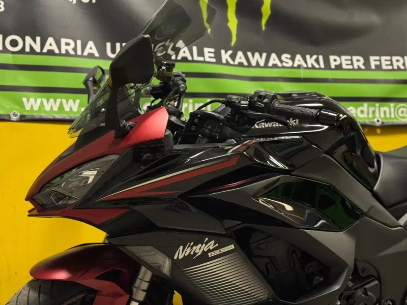 Kawasaki Ninja 1000 SX (2021 - 24) (4)