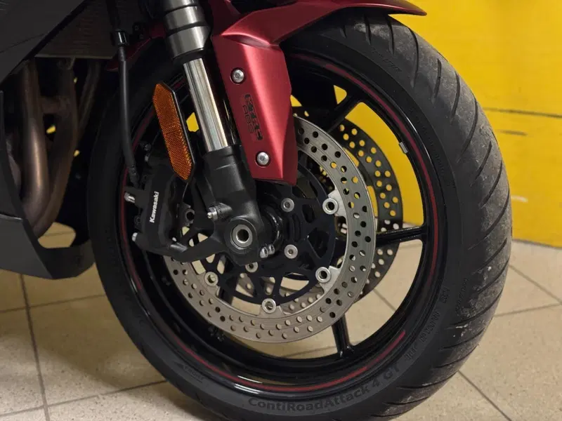 Kawasaki Ninja 1000 SX (2021 - 24) (5)