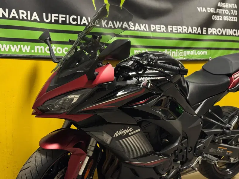 Kawasaki Ninja 1000 SX (2021 - 24) (6)