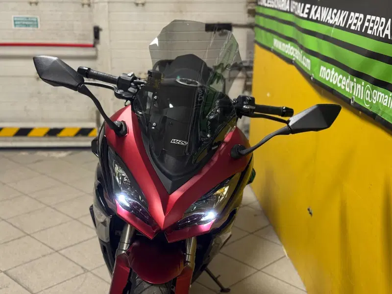 Kawasaki Ninja 1000 SX (2021 - 24) (8)