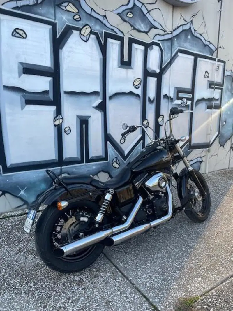 Harley-Davidson 1690 Street Bob (2017) - FXDB (3)