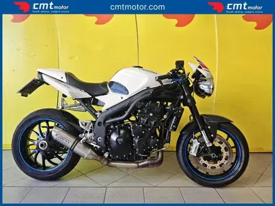 Triumph Speed Triple 1050 (2005 - 11) usata
