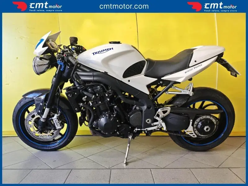 Triumph Speed Triple 1050 (2005 - 11) (3)