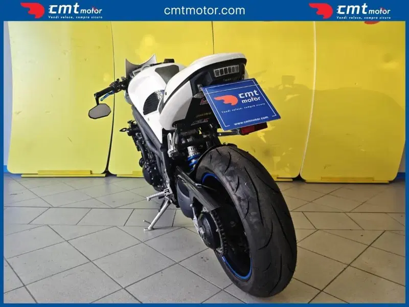 Triumph Speed Triple 1050 (2005 - 11) (4)