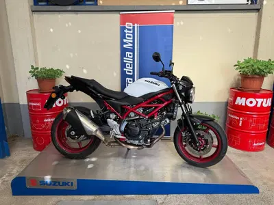 Suzuki SV650 (2021 - 24) usata