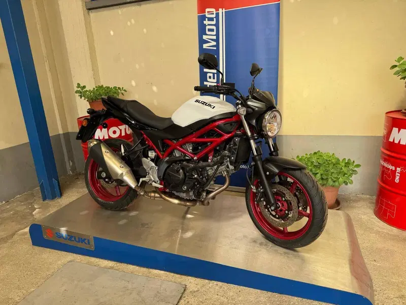 Suzuki SV650 (2021 - 24) (2)
