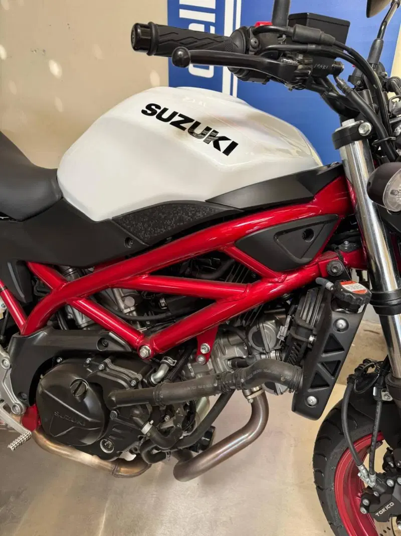 Suzuki SV650 (2021 - 24) (5)
