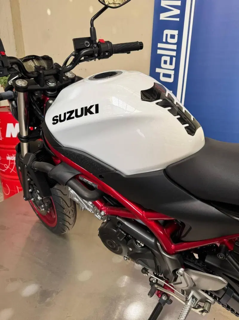 Suzuki SV650 (2021 - 24) (12)